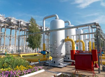 Bunge And Solazyme Expand Joint Venture